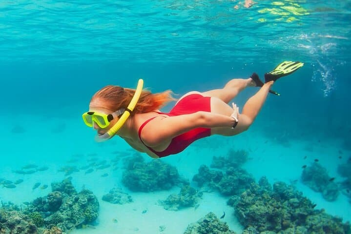 Tiran Island Full-Day Snorkel Trip from Sharm El Sheikh — Lunch Included