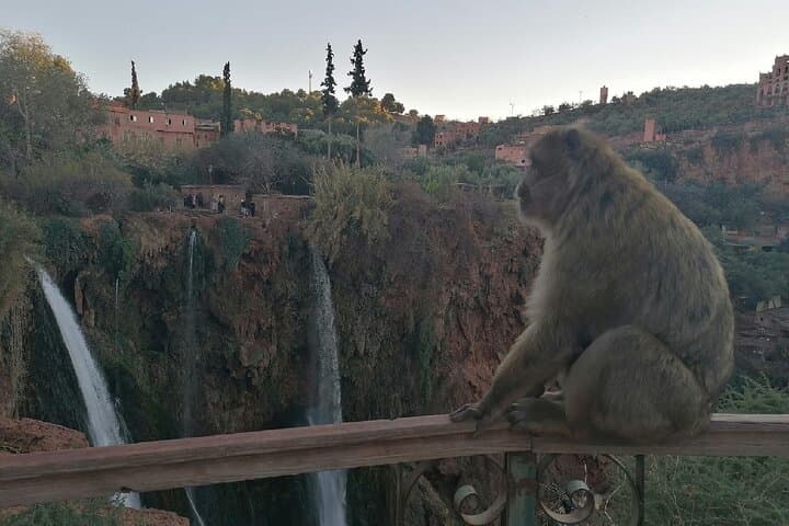 Ouzoud Waterfalls Day Trip from Marrakech: Boat Ride, Monkeys & Atlas Views photo 2