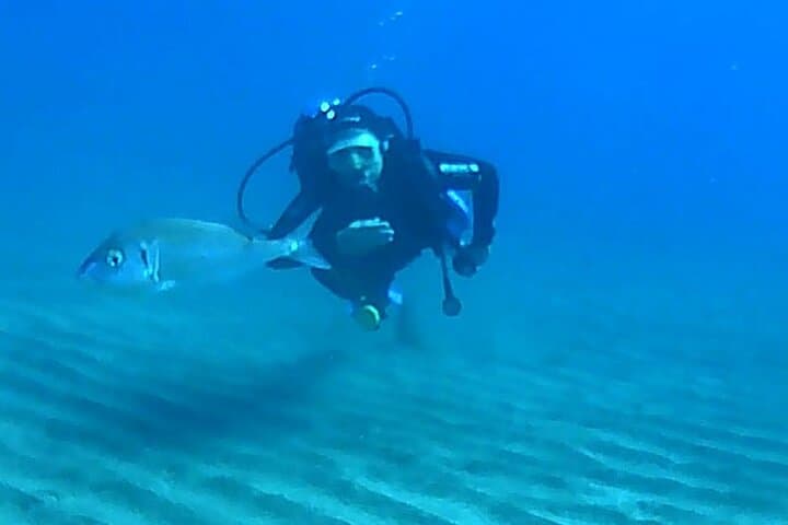 Try Scuba Diving with an Expert Instructor in Tenerife (Abades Shallow Dive)