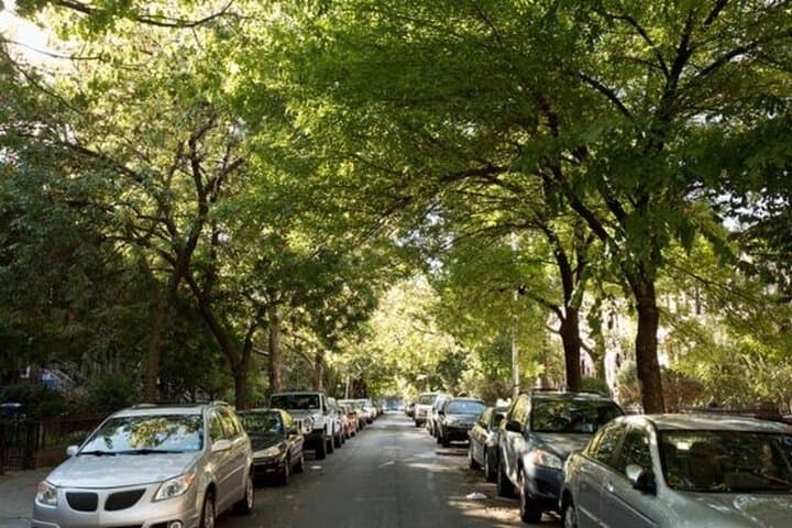 Brooklyn Street Food Walking Tour — Carroll Gardens, Cobble Hill & Brooklyn Heights Eats photo 2