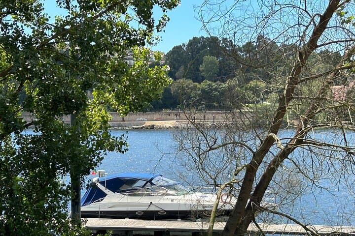 Private Douro River Boat Tour with Traditional Lunch and Swimming