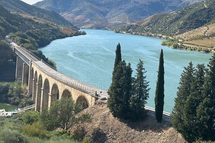Private Douro River Boat Tour with Traditional Lunch and Swimming photo 6