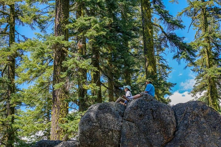 Half-Day Mount Shasta Tour: Faery Falls, Castle Lake & Bunny Flat photo 5