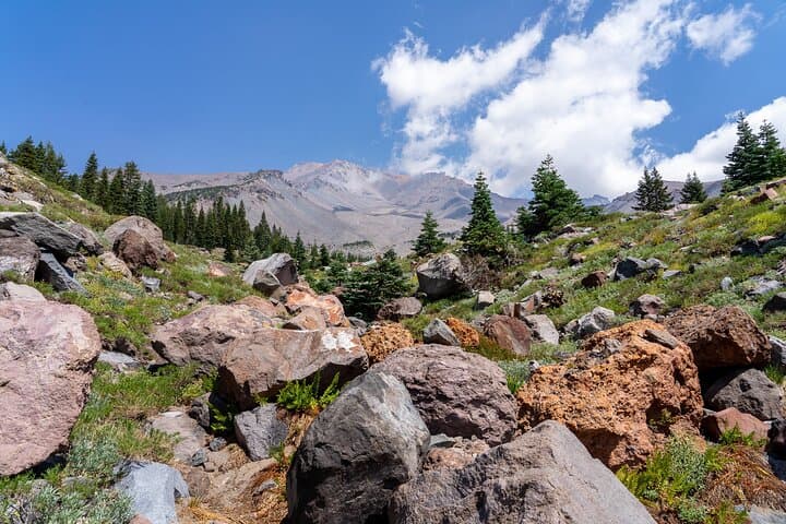 Half-Day Mount Shasta Tour: Faery Falls, Castle Lake & Bunny Flat photo 2