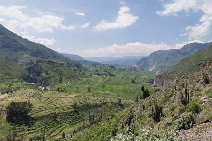 2-Day Colca Valley Tour: Condors, Hot Springs & Andean Terraces photo 6