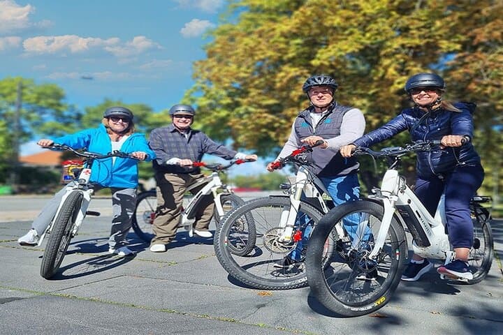 E-Biking to Kronborg Castle: Coastal Ride from Copenhagen to Hamlet's Keep photo 3