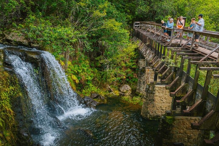 Explore Kohala Waterfalls: A Private Adventure Through Hawaii’s Volcanic Heart photo 6