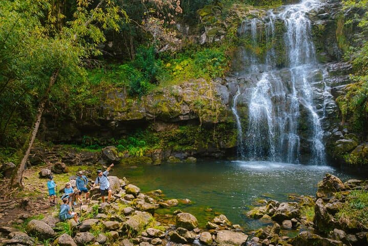Explore Kohala Waterfalls: A Guided Small Group Tour on Hawaii’s Big Island photo 4