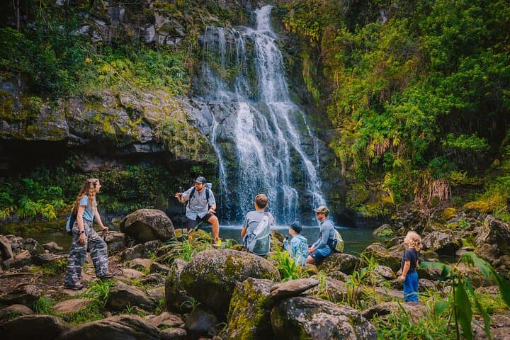 Explore Kohala Waterfalls: A Private Adventure Through Hawaii’s Volcanic Heart