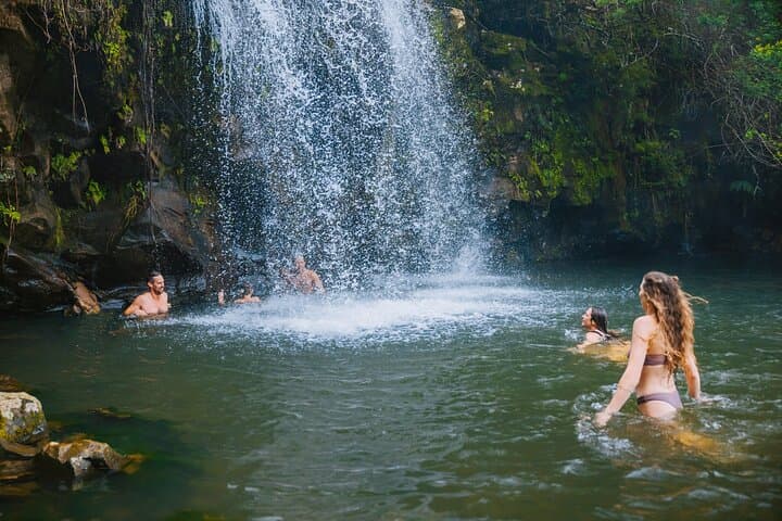 Explore Kohala Waterfalls: A Private Adventure Through Hawaii’s Volcanic Heart photo 5