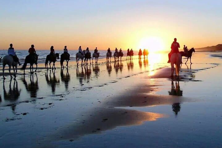 Horseback Riding Through Doñana National Park with Visit to El Rocío photo 2