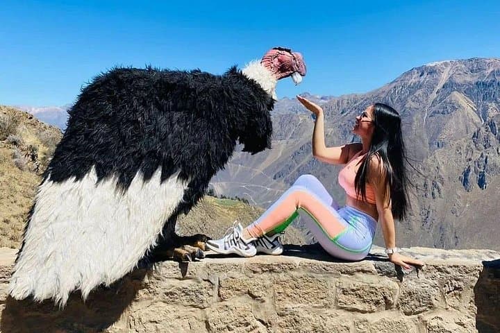 Colca Canyon 2-Day Adventure from Arequipa: Condors, Hot Springs & Pre-Inca Terraces photo 1