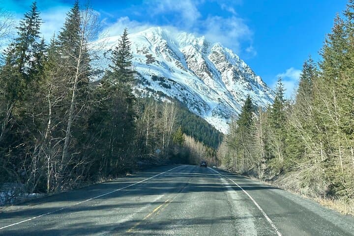 Seward to Anchorage Full-Day Transit Tour: Exit Glacier, Wildlife & Lake Hood photo 6
