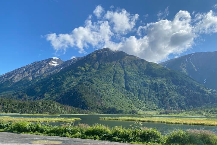 Seward to Anchorage Full-Day Transit Tour: Exit Glacier, Wildlife & Lake Hood photo 5