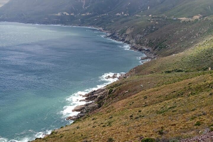 Cape Point & Boulders Beach: Full-Day Penguin and Coastal Drive Tour from Cape Town photo 6