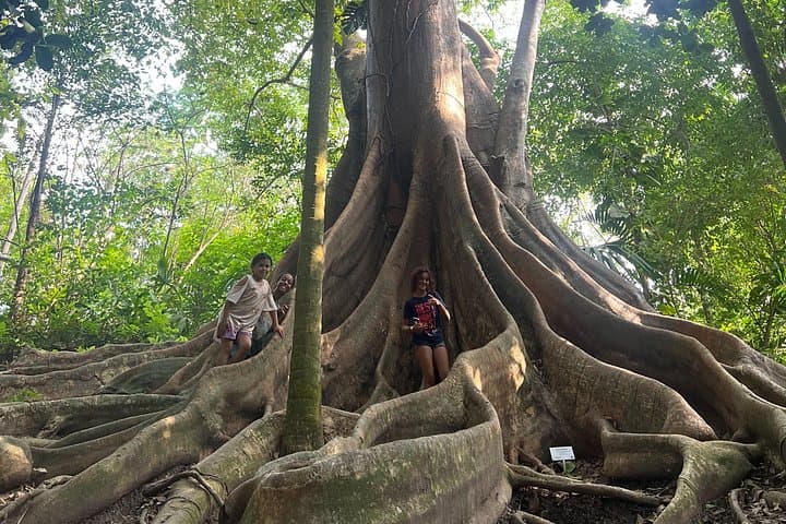 Private Botanical Garden Cartagena Tour with Bilingual Guide — 3–5 Hour VIP Experience photo 4