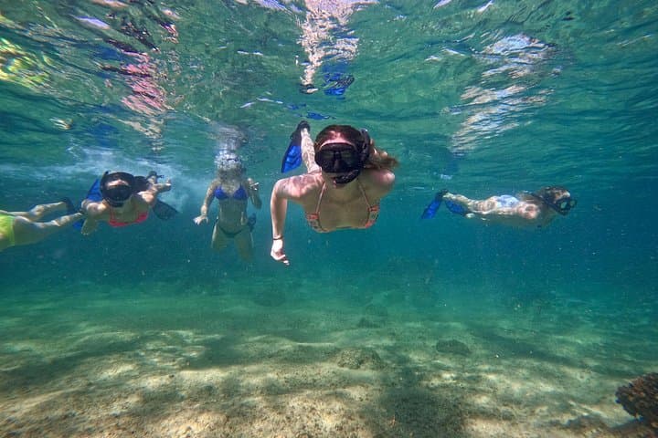 Private Arch & Snorkeling Tour in Cabo San Lucas: Photos, Small Group, and Sea Life photo 1
