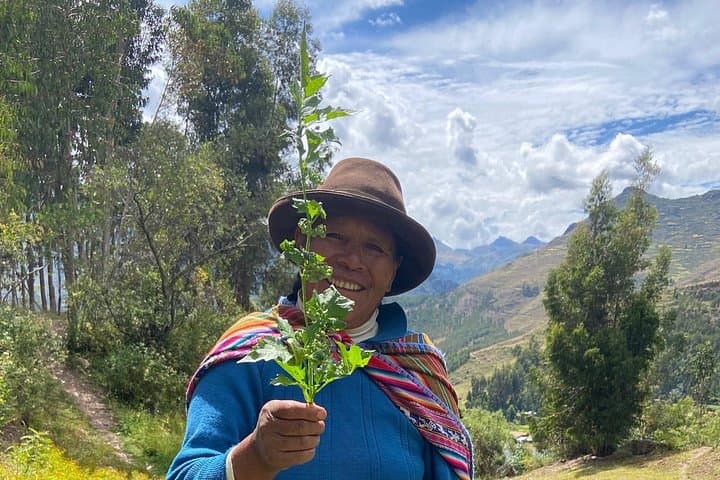 Medicinal Plant Walk in Pisac: Andean Ethnobotany and Sacred Valley Views photo 2