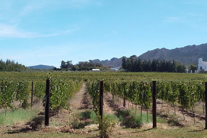 Garden Route to Addo: 4-Day Safari from Port Elizabeth photo 2