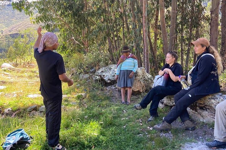 Medicinal Plant Walk in Pisac: Andean Ethnobotany and Sacred Valley Views photo 4