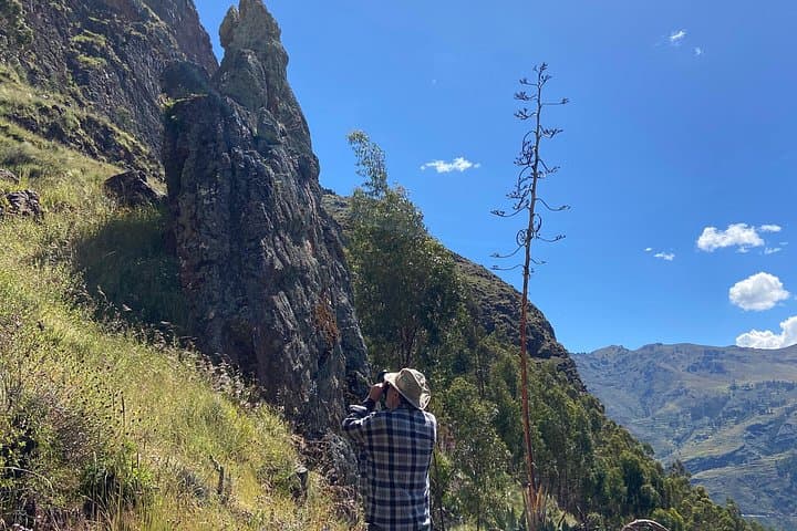 Medicinal Plant Walk in Pisac: Andean Ethnobotany and Sacred Valley Views photo 5