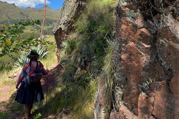 Medicinal Plant Walk in Pisac: Andean Ethnobotany and Sacred Valley Views photo 6