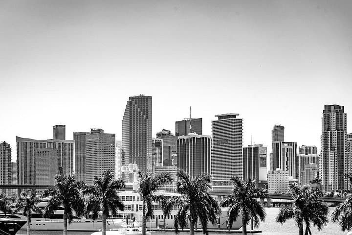 Private Miami Bus Transfer & 4-Hour Custom Tour — Point-to-Point Comfort and City Sightseeing photo 4