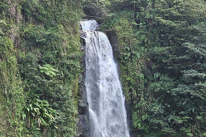 Relax in Dominica: Hot Springs, Titou Gorge & Trafalgar Falls Day Trip photo 4