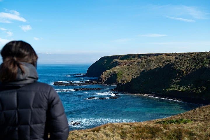 Phillip Island Penguin Parade Express Tour from Melbourne — Evening Little Penguin Viewing photo 3