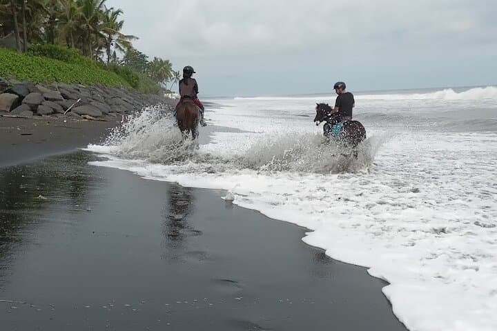 Sunrise Horse Riding on Saba Black Sand Beach, Bali photo 3