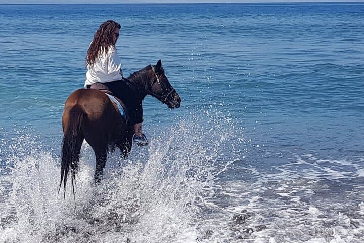 Sunrise Beach Horseback Riding at Saba Beach Bali: A Perfect Morning Adventure photo 3