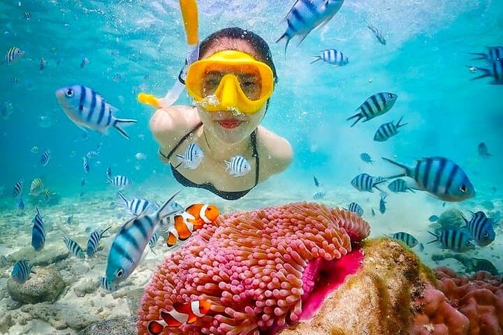 Blue Lagoon Snorkel & Waterfall Combo — Private Transfer, Boat, Lunch photo 3