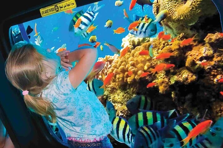 Red Sea Semi-Submarine Cruise from Sharm El Sheikh photo 2