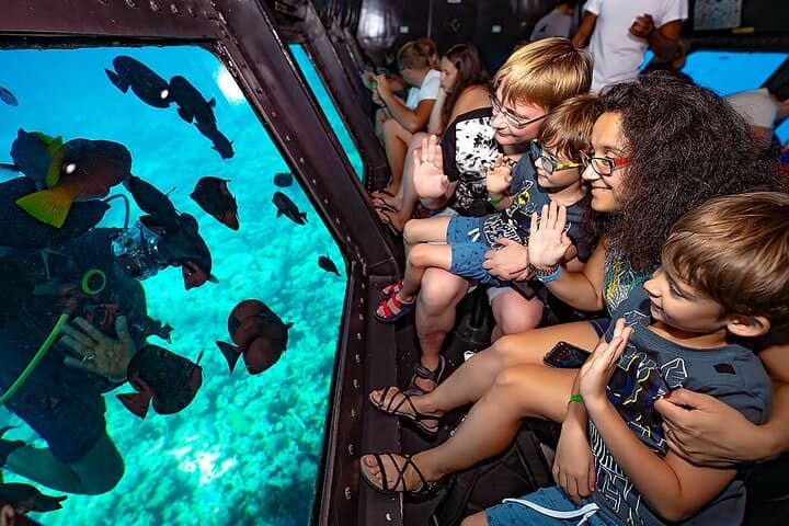 Marsa Alam Semi-Submarine Adventure: Red Sea Glass-Bottom Reef Tour photo 4