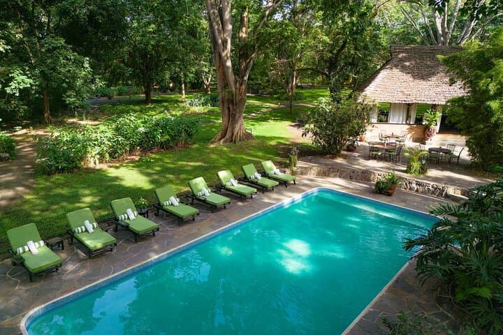 7-Day Private Serengeti & Ngorongoro Safari from Arusha photo 2