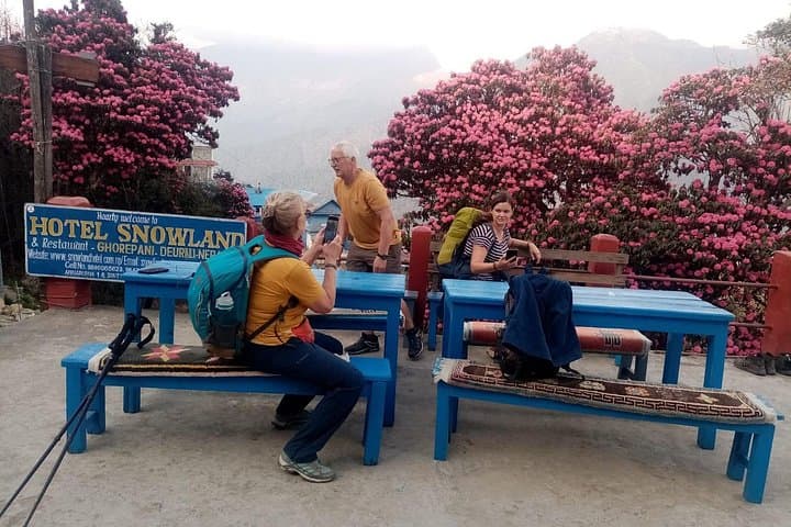 Poon Hill Sunrise Trek: Private 4-Day Ghorepani Trek from Pokhara photo 1