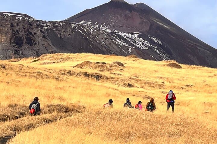 Etna to Taormina: Full-Day Volcano Trek, Lava Cave & Isola Bella photo 3