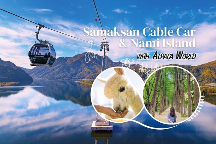 Samaksan Cable Car and Nami Island Day Trip — Cable Car Views, Cherry Blossoms & Canoes photo 1