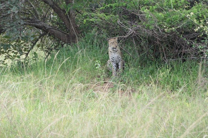 One-Day Akagera Game Drive: Private Safari to Lake Ihema from Kigali photo 3