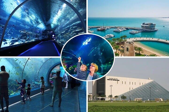 Inside Hamad Port: Private Mesaieed Aquarium & Maritime Museum Tour