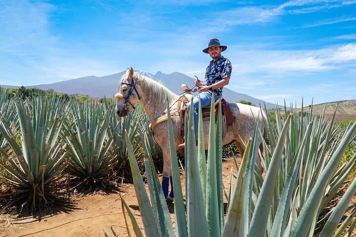 Tequila Distillery Experience: José Cuervo & Tequila Magic Town Day Trip from Guadalajara photo 4