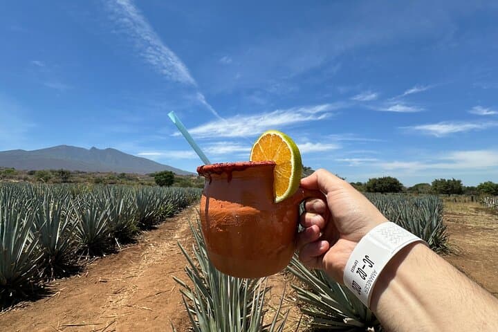 Tequila Distillery Experience: José Cuervo & Tequila Magic Town Day Trip from Guadalajara photo 6