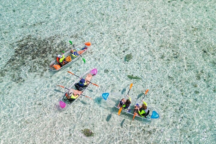 Clear Kayak Mangrove & Iguana Island Tour — Providenciales Leeward