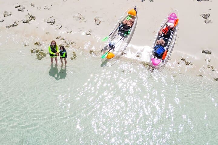 Clear Kayak Mangrove & Iguana Island Tour — Providenciales Leeward photo 2