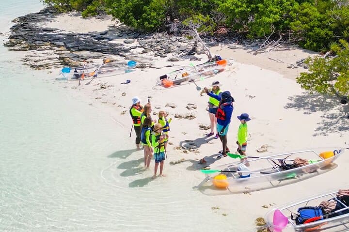 Clear Kayak Mangrove & Iguana Island Tour — Providenciales Leeward photo 3