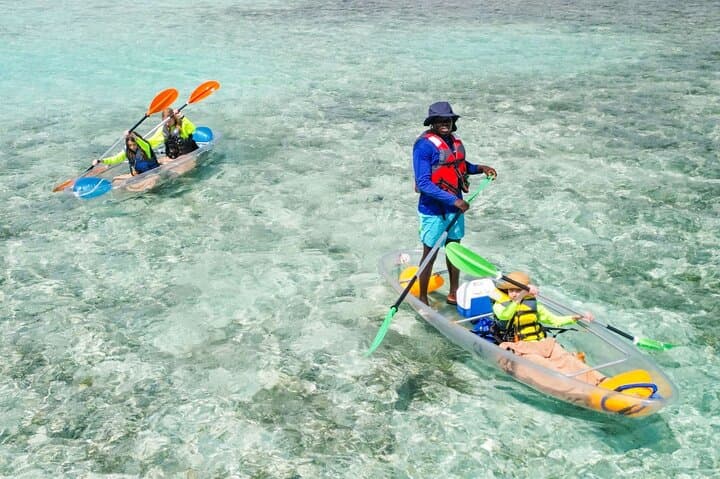 Clear Kayak Mangrove & Iguana Island Tour — Providenciales Leeward photo 4