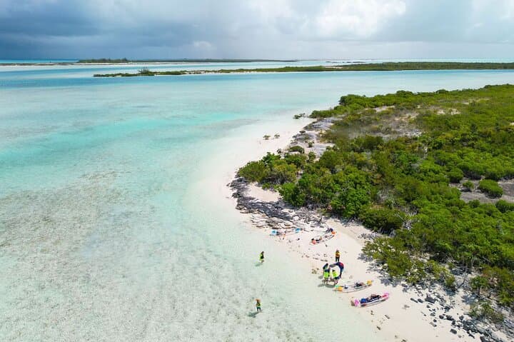 Clear Kayak Mangrove & Iguana Island Tour — Providenciales Leeward photo 5