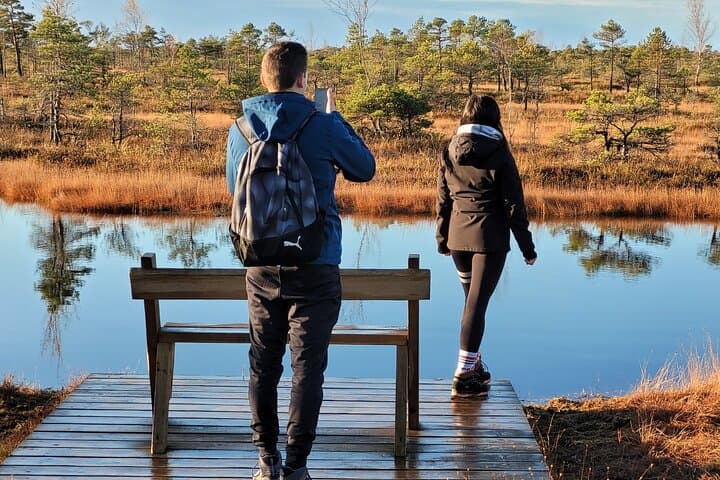Walk the Great Kemeri Bog & Slokas Lake Swamp Forest — 6‑Hour Guided Hike from Riga