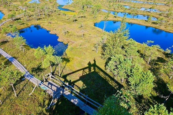 Walk the Great Kemeri Bog & Slokas Lake Swamp Forest — 6‑Hour Guided Hike from Riga photo 2