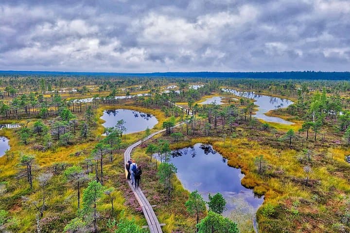Walk the Great Kemeri Bog & Slokas Lake Swamp Forest — 6‑Hour Guided Hike from Riga photo 4